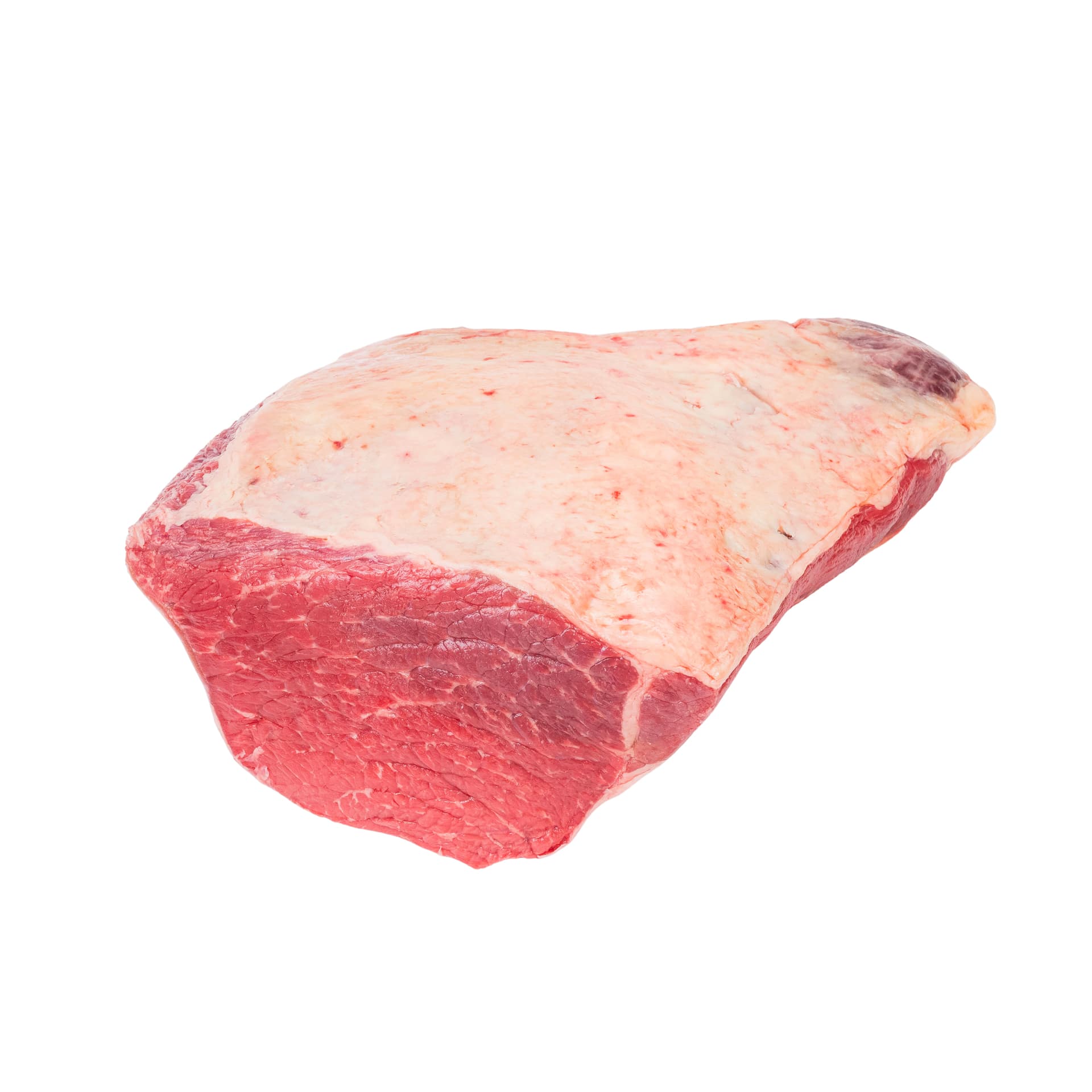 Silverside